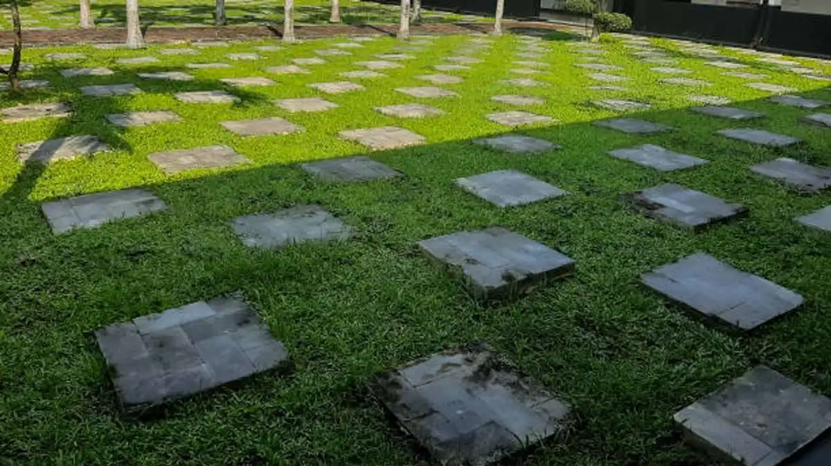 Countryside Landscaping Everything You Need To Know